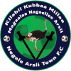 Team logo